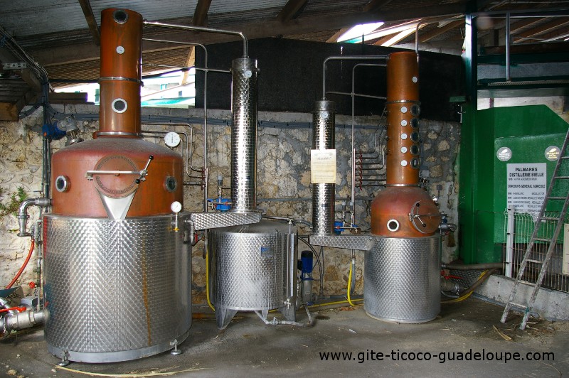 La Distillerie Damoiseau