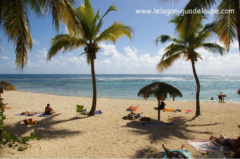 Studio LeLagon Guadeloupe - Plage de la résidence