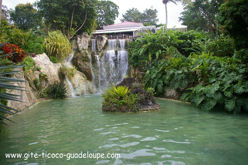 Le Jardin Botanique de Deshaies Le Jardin Botanique de Deshaies